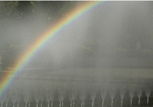 061107_rainbow.jpg