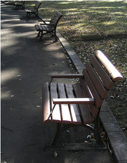 061108_benches.jpg
