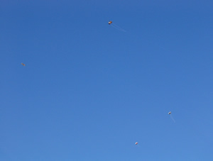 071004_kites.jpg