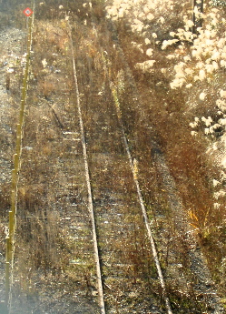 071222_abolished_railroad.jpg