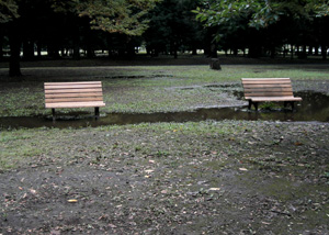 081014_two_benches.jpg