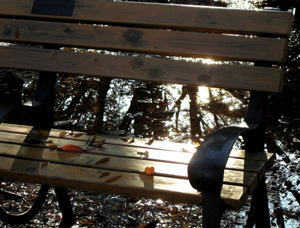 081128_floating_benches_b.jpg