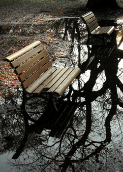 081128_floating_benches_c.jpg