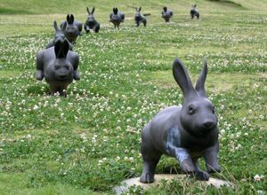 090721_rabbits.jpg