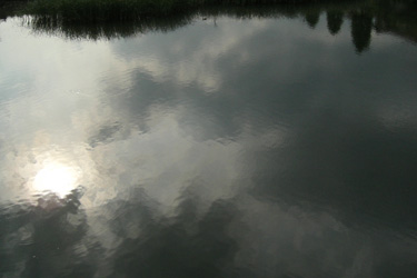 100529_pond.jpg