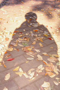 101102_shadow.jpg