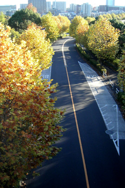 101110_autumn_road.jpg