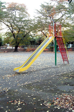 101114_park.jpg