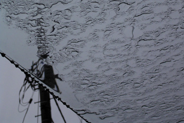 101122_rain.jpg