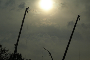 101216_cranes.jpg