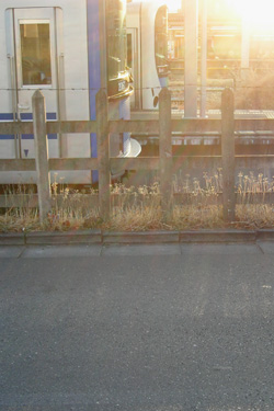 110127_trains.jpg