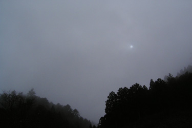 120203_foggy_morning.jpg