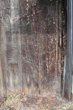 130114_old_door.jpg