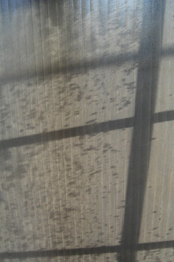 130117_window.jpg