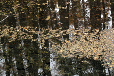 131026_pond.jpg