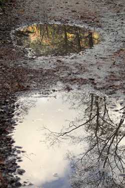 131027_puddles.jpg