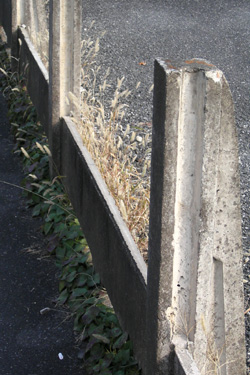 131114_natural_wall.jpg
