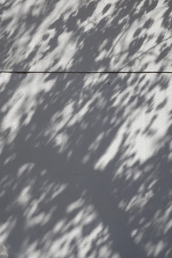 140326_shadow.jpg