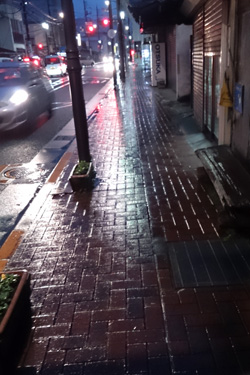 171114_rainy_pavement.jpg